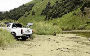  ?? PHOTO: CLUTHA DISTRICT COUNCIL ?? Natural harmony? Not all are convinced a new bylaw will help keep wildlife and vehicles safely apart on South Otago beaches, including here at Cannibal Bay.