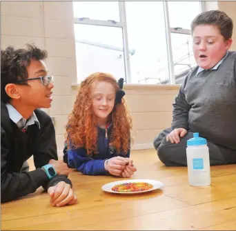  ??  ?? LeInzzoine (3rd class), Molly O’Driscoll (5th class) and Connor Murphy (6th class) took part in a Skittles Rainbow Science experiment.