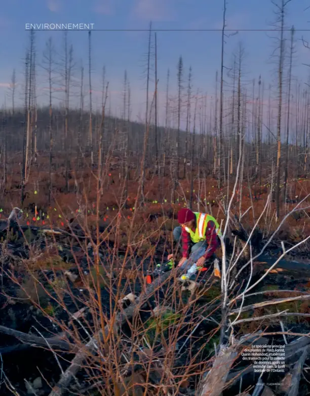  ??  ?? Le spécialist­e principal des plantes de Flash Forest, Quirin Hohendorf, établissan­t des transects pour la collecte de données après un incendie dans la forêt boréale de l’Ontario.