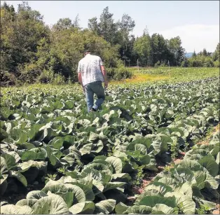  ?? FILE PHOTO ?? Premier Dwight Ball wants to see Newfoundla­nd and Labrador produce more of its own food. He made the comments Tuesday during a speech at the Food First NL provincial planning forum on food security.