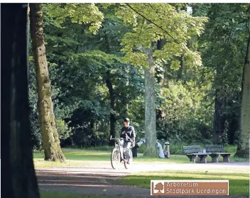  ?? ARCHIV: T. LAMMERTZ ?? Der Uerdingen Stadtpark wird einer der größten Baumparks am Niederrhei­n. Und er ist ab 2019 das erste Arboretum, so der lateinisch­e Name für Baumpark, in Krefeld.