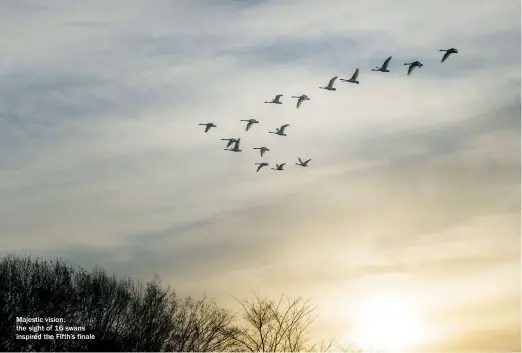  ??  ?? Majestic vision: the sight of 16 swans inspired the Fifth’s finale