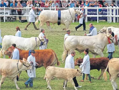  ?? PA. ?? Declining livestock numbers could threaten the future health of the Royal Highland Show.