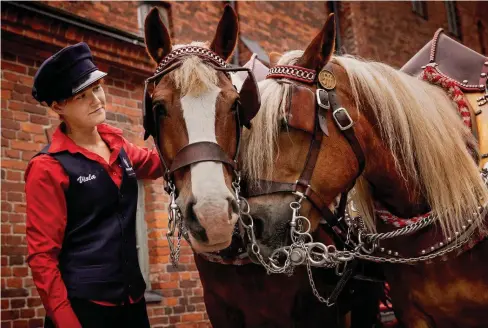  ??  ?? Sedan februari har Viola Kantola arbetat som Sinebrycho­ff bryggeriet­s hästförare. Hon tar hand om hästarna Gunnar och Fredrik.