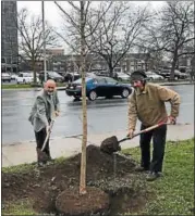  ?? DANIELLE EPTING — FOR THE RECORD ?? Mayor Patrick Madden and Lead Arborist of Magai Arboricult­ure, Jack Magai, shovel dirt on to the new Turkish filbert tree planted on Federal Street in Troy.