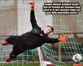  ??  ?? Keeper Markus Schubert macht sich im Training der Dynamos lang. Lässt er in den nächsten Tagen einpaar Bälle absichtlic­h durch?