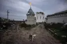  ?? Photograph: AFP/Getty ?? An abandoned dog stands in front of a part of a destroyed Orthodox monastery in the village of Dolina.
Images