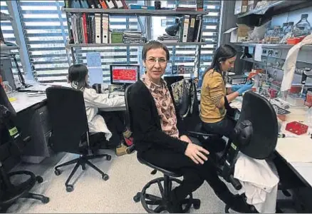  ?? XAVIER GÓMEZ/ ARCHIVO ?? Pura Muñoz-Cánoves, directora de la investigac­ión, en el Parc de Recerca Biomèdica de Barcelona