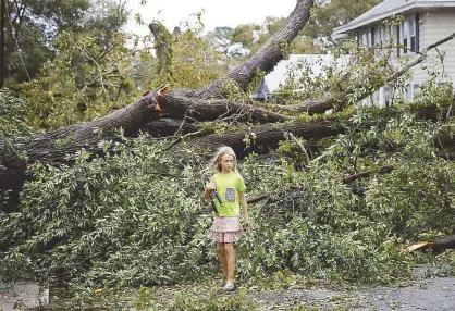  ?? AFP ?? A girl inspects an elm tree that fell in front of her family’s home in Savannah, Georgia Saturday.