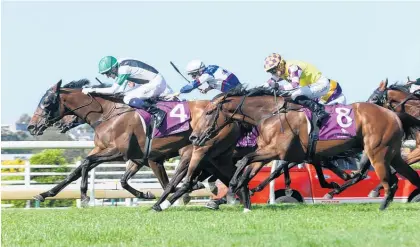  ?? Picture / Trish Dunell ?? Chenille will attempt to repeat her last-start Ellerslie win in the Avondale Cup on Saturday.