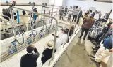  ?? ?? La competenci­a de mayor producción de leche será uno de los atractivos de la Expo Cooproland­a 2024.