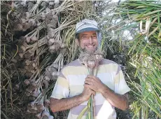  ??  ?? Jim Capellini has some fun in the drying shed. At right, Jim and Lalitha Capellini, owners of Rasa Creek Farm, check out the garlic patch.