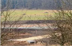  ?? Foto: Michaela Asum ?? Am Natursee, der nahe Zöschingen entsteht, können die Störche bald nach Fröschen suchen. Meister Adebar soll dort auch ein Nest bekommen.