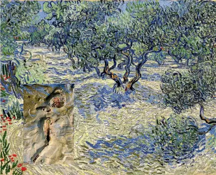  ?? SUPPLIED ?? This photo shows a small grasshoppe­r that has been found embedded in the thick paint in the lower foreground of Vincent van Gogh’s painting ‘‘Olive Trees’’.