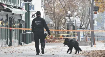  ??  ?? Un policier de l’unité canine parcourt l’une des nombreuses scènes de crime. - La Presse canadienne: Jacques Boissinot