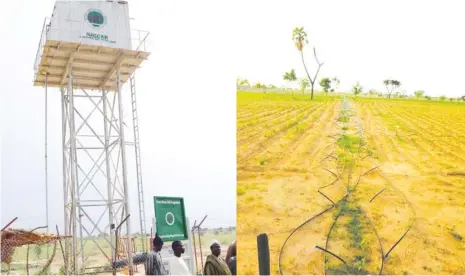  ??  ?? Solar borehole
One of the project sites at Karina's Tama, Katsina, now converted back to personal farm after dearth of economic seedlings