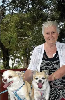  ??  ?? June Hafey and her much loved pups, Chiili (left) and Jesie relax in Newtown Park.