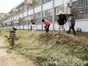  ??  ?? • Elementos de Bomberos y Protección Civil acudieron a una escuela de Nogales ante el reporte de que había víboras de cascabel.