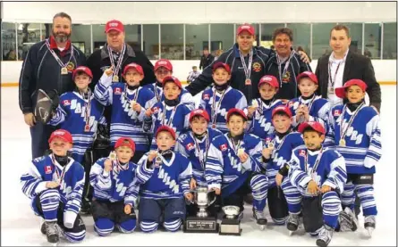  ?? Supplied photo ?? Members of the Port Colborne Silver Puck Sailors celebrate their Ontario Minor Hockey Associatio­n novice championsh­ip after ending the Lambeth Lancers' championsh­ip reign with a 12- 3 road victory Saturday.