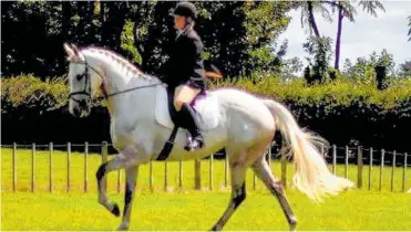  ?? Photo/ Amy Logan ?? Georgie Pullins riding Gus in her winning test.