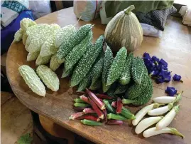  ??  ?? An assortment of vegetables grow on Realiza’s farm.