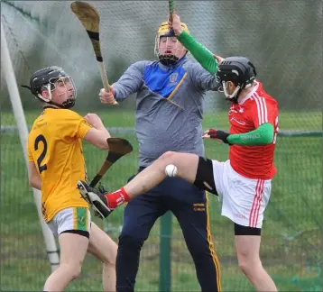  ?? Pictures: Ken Finegan ?? Michael Ryan causes problems for the DCU/St Pat’s defence in Darver on Sunday.