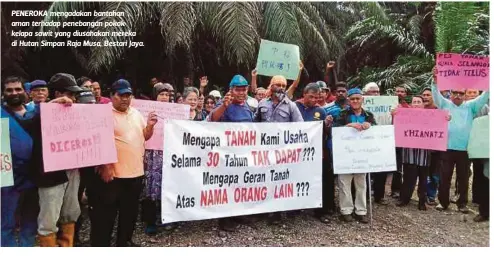  ??  ?? PENEROKA mengadakan bantahan aman terhadap penebangan pokok kelapa sawit yang diusahakan mereka di Hutan Simpan Raja Musa, Bestari Jaya.