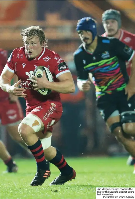  ??  ?? Jac Morgan charges towards the line for the Scarlets against Zebre last November.
Pictures: Huw Evans Agency