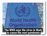  ?? ?? The WHO says the virus is likely
to cause the next pandemic