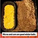  ??  ?? Micros and corn are good winter baits.