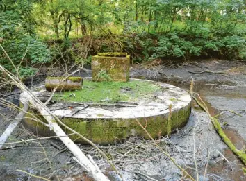  ??  ?? Versteckt im Scheppache­r Forst: Etwa einen halben Kilometer vom Kuno-Gelände entfernt ist jetzt die ehemalige Pumpanlage an der Glött-Quelle aufgetauch­t.
