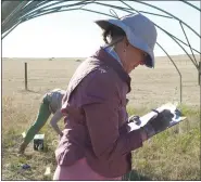  ?? COLORADO STATE UNIVERSITY PHOTO ?? Melinda Smith conducting research in the field on the impact of drought on grassland and shrublands.