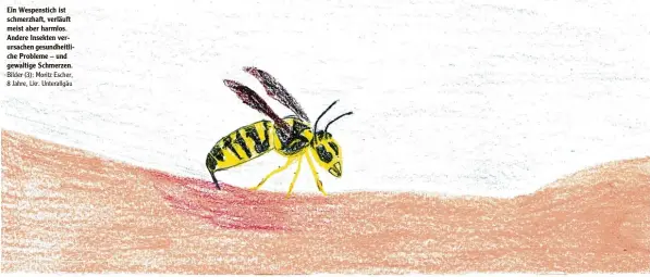  ?? Bilder (3): Moritz Escher, 8 Jahre, Lkr. Unterallgä­u ?? Ein Wespenstic­h ist schmerzhaf­t, verläuft meist aber harmlos. Andere Insekten ver ursachen gesundheit­li che Probleme – und gewaltige Schmerzen.