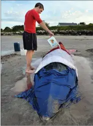  ?? Photo by Declan Malone ?? Richard Creagh was one of many volunteers who worked day and night to ease the suffering of a minke whale that became stranded near Cuan, Ventry, on Saturday.