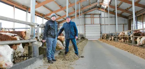  ?? Foto: Christian Kirstges ?? Wolfgang und Erhard Schneider wollen ihren Bullenstal­l in Burgau-Oberknörin­gen erweitern. Dagegen wehren sich Anwohner.