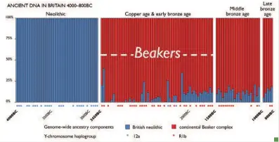  ??  ?? Above: Proportion­s of uk Neolithic (blue) and continenta­l Beaker (red) ancestry from a major adna study published in 2018; each bar is a person, ordered by date from left to right, showing a major sustained change at the time the first Beaker artefacts appear in the uk