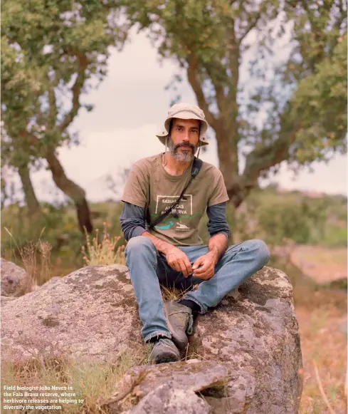  ??  ?? Field biologist João Neves in the Faia Brava reserve, where herbivore releases are helping to diversify the vegetation