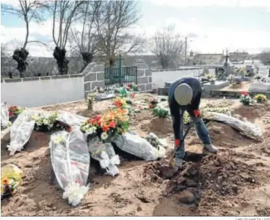  ?? CARLOS GARCÍA / EFE ?? Un enterrador cava la última sepultura para un funeral, ayer en Vilar Formoso.