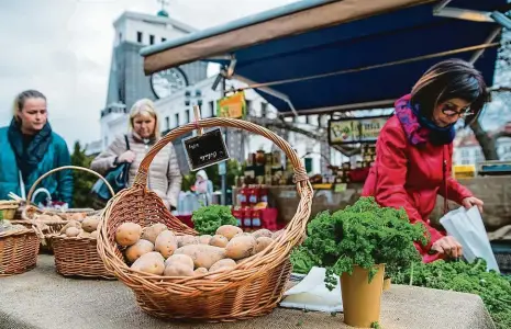  ?? Foto: Michal Šula, MAFRA ?? Potraviny s příběhem Zákazníci na farmářskýc­h trzích hledají nejen kvalitnějš­í produkty. České zboží poptávají i kvůli tomu, že k nim nemusí putovat přes půl světa a je z tohoto hlediska ekologičtě­jší. Snímek zachycuje včerejší farmářské trhy na náměstí Jiřího z Poděbrad.