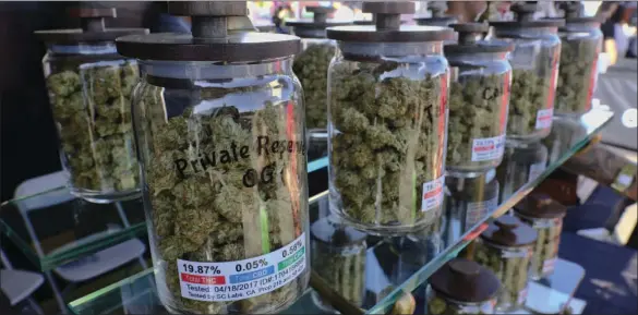  ?? AP PHOTO/RICHARD VOGEL ?? In this April 23 file photo, large jars of marijuana are on display for sale at the Cali Gold Genetics booth during the High Times Cannabis Cup in San Bernardino.