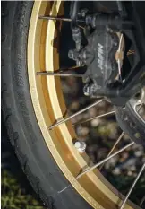  ??  ?? Le montage Tubeless de ces roues à rayons est sérieux et ces cercles dorés relèvent superbemen­t sa robe noire.