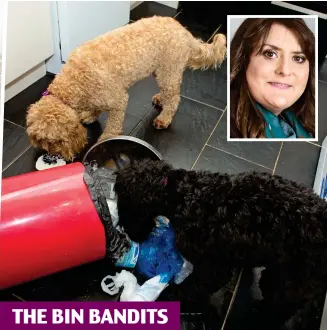  ??  ?? THE BIN BANDITS