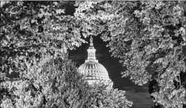  ?? DAMON WINTER / THE NEW YORK TIMES FILE (2019) ?? The U.S. Capitol in Washington is shrouded by tree leaves on July 1, 2019. “Any plan bold enough to effectivel­y address climate change seems unlikely to survive the American political system. And any bill that can survive our politics may not make enough of a dent on the climate,” writes New York Times opinion columnist Farhad Manjoo.
