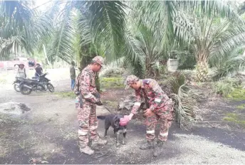  ??  ?? Members of the K9 unit involved in the SAR operation.