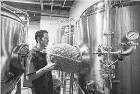  ?? Photos by Brett Coomer / Staff photograph­er ?? John Holler places a bag of fresh hops into a fermenting tank at Holler Brewing.