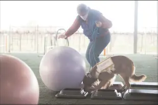  ??  ?? Pat Romeiro of Davis works with her dog Rocket during Fit ‘n’ Fun Agility, a fitness class offered at All Dogs Sports Park, on Feb. 2.