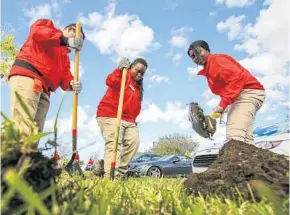  ?? JACOB LANGSTON/STAFF PHOTOGRAPH­ER ?? Daniel Gabriel, (from left) Monica Brown and Deanna Davis dig a hole for a new tree Monday.