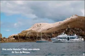  ??  ?? Une roche blanche ? Non, une colonie de fous de Bassan.