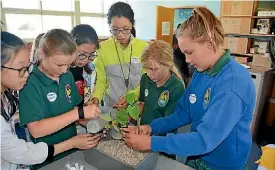  ?? SUPPLIED ?? Leyi Shen, Breanna Keating, Xingyue Zhu, Zili Lu, Syndie Johnson and Hannah Hardy create hydroponic­s for astronauts.