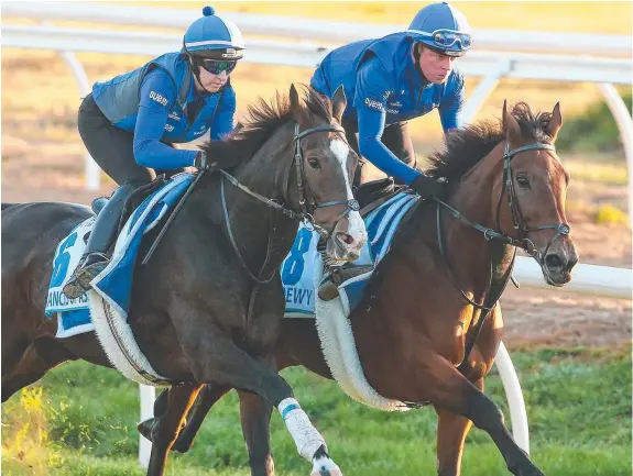  ?? Picture: PAT SCALA ?? GODOLPHIN HOPEFULS: Francis Of Assisi, left, works with Qewy yesterday morning at Werribee as they prepare for their Australian targets.